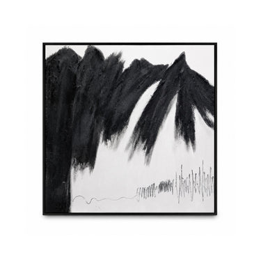 #color_negro